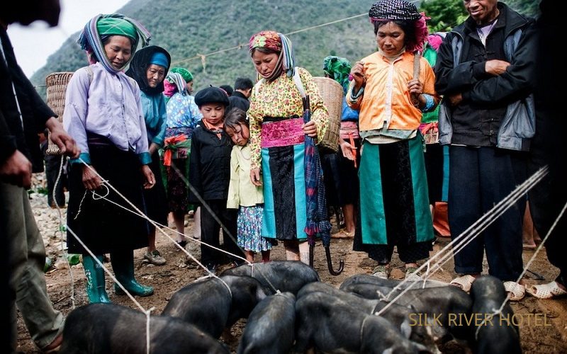 Khách sạn đẹp nhất Hà Giang