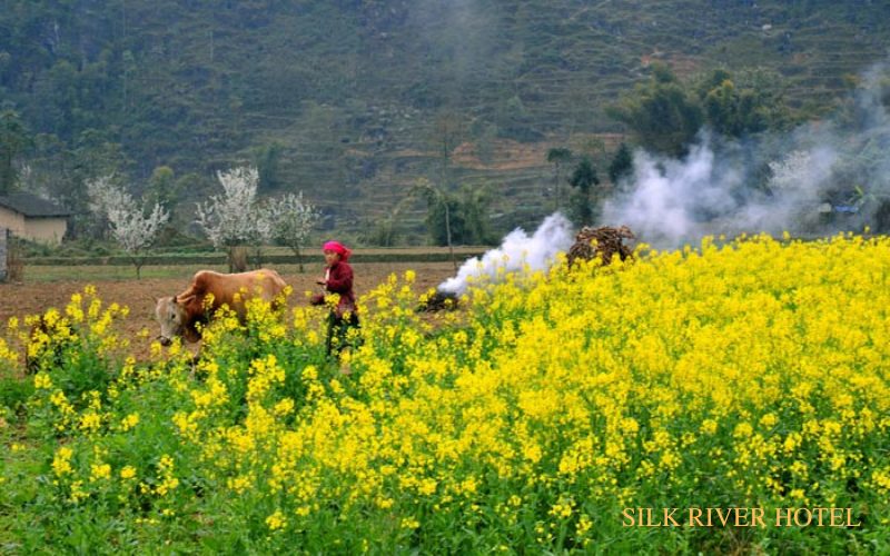 khách sạn hà giang