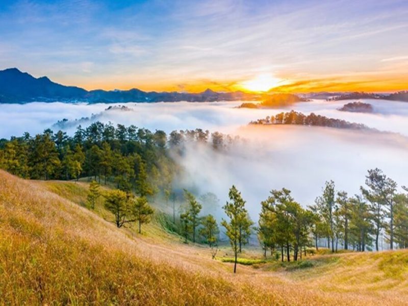 Hình ảnh thơ mộng, bình yên của rừng thông Yên Minh lúc sáng sớm