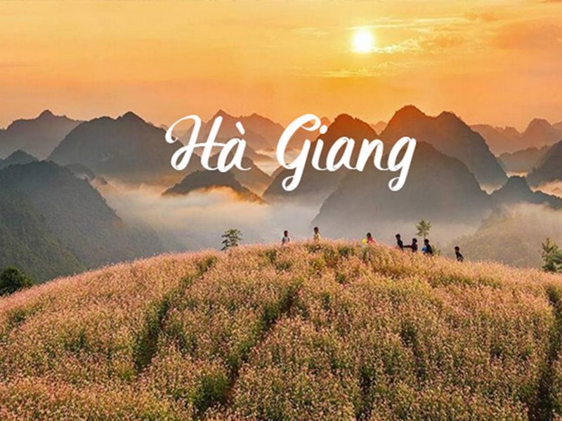 Tổng hợp 3+ kinh nghiệm kinh nghiệm du lịch Hà Giang tự túc quan trọng