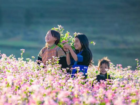 Du lịch Hà Giang mùa hoa nở