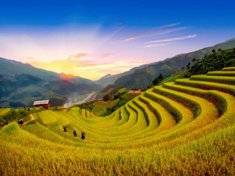 Ngắm nhìn màu lúa chín tại Hà Giang