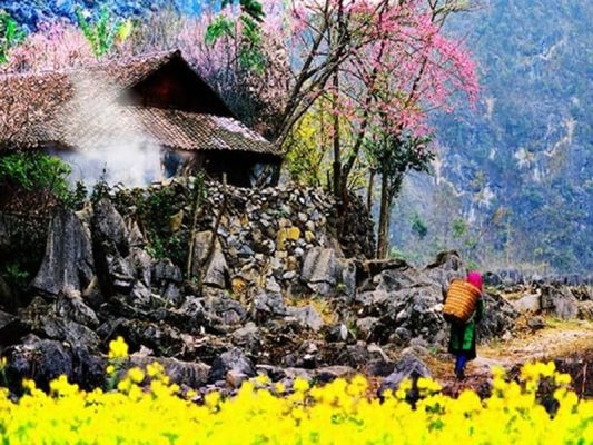 Du lịch Hà Giang mùa hoa nở